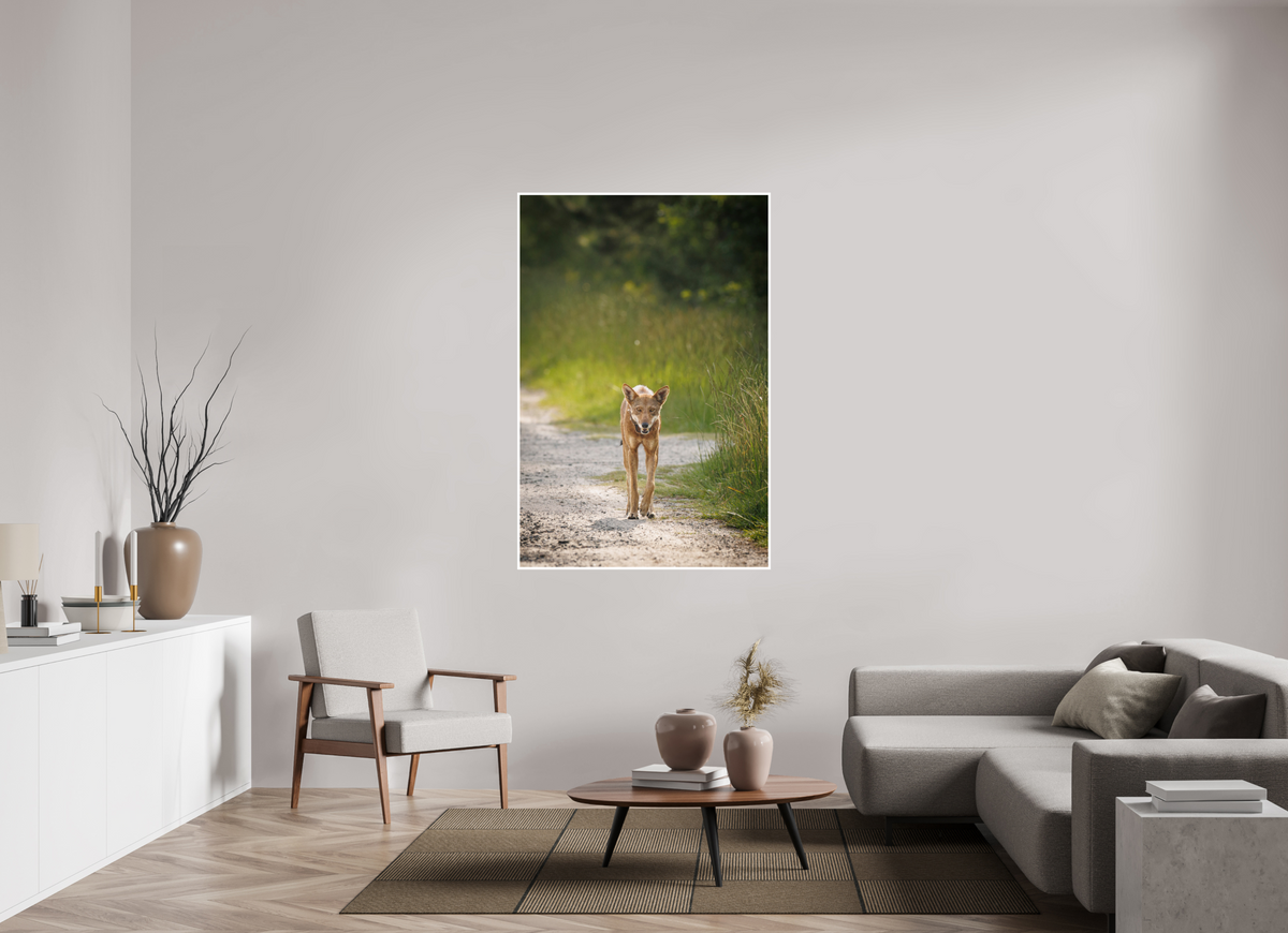 40 x 60″, Frameless Hahnemuhle FineArt Baryta .4 Border Red Wolf