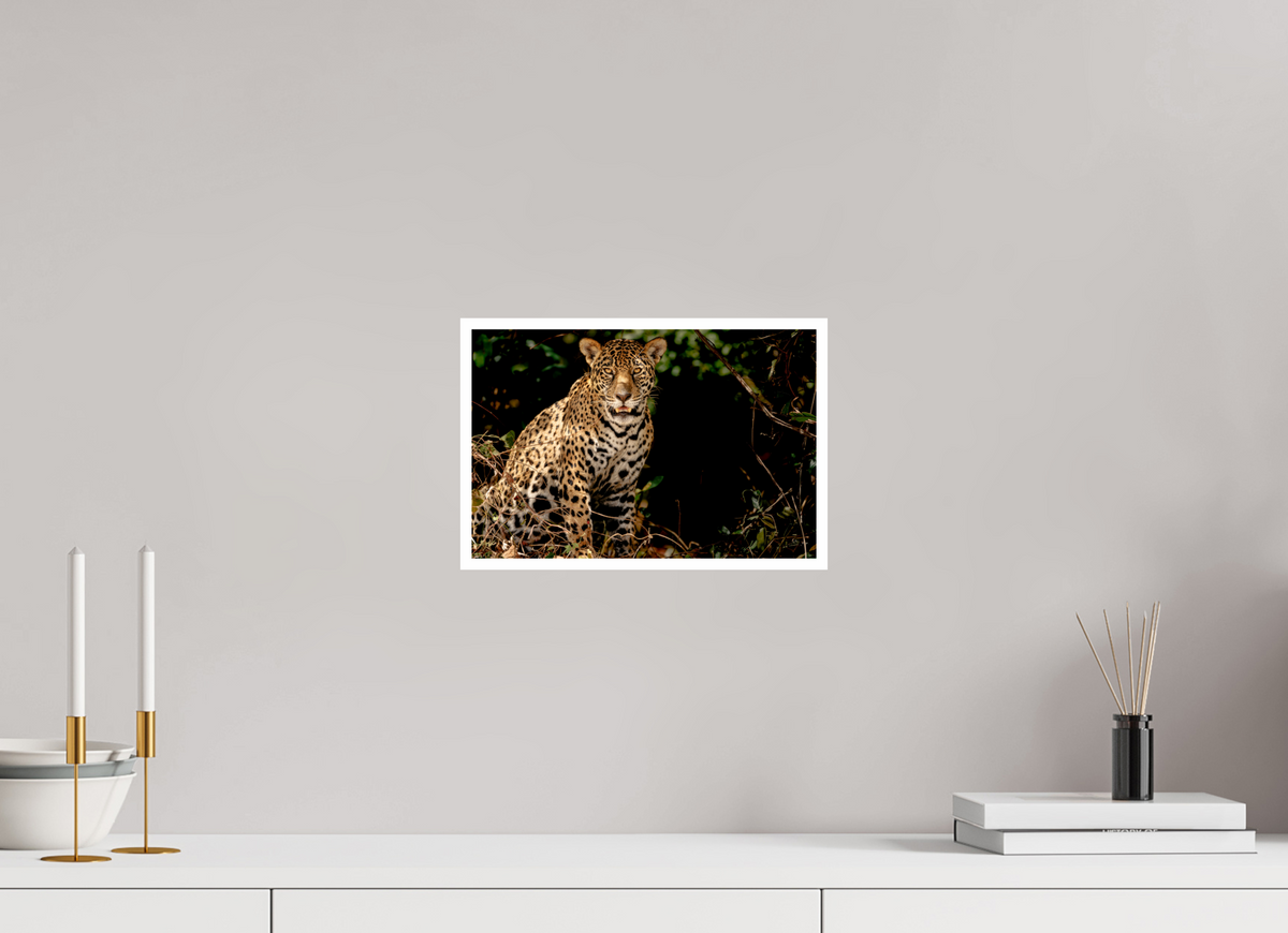 12 x 8″, Frameless Hahnemuhle FineArt Baryta .4 Border Ghost of the Pantanal
