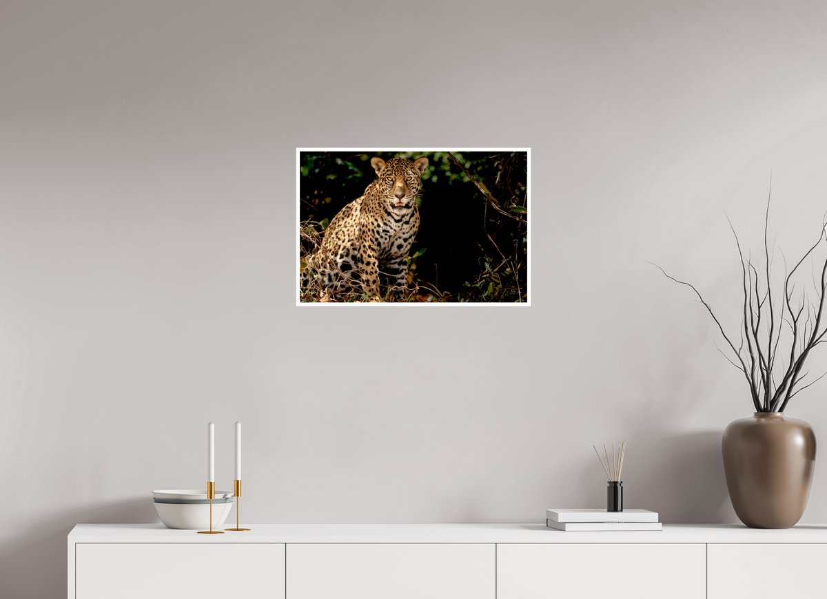 24 x 16″, Frameless Hahnemuhle FineArt Baryta .4 Border Ghost of the Pantanal