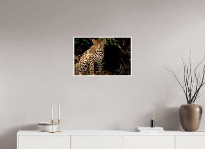 24 x 16″, Frameless Hahnemuhle FineArt Baryta .4 Border Ghost of the Pantanal