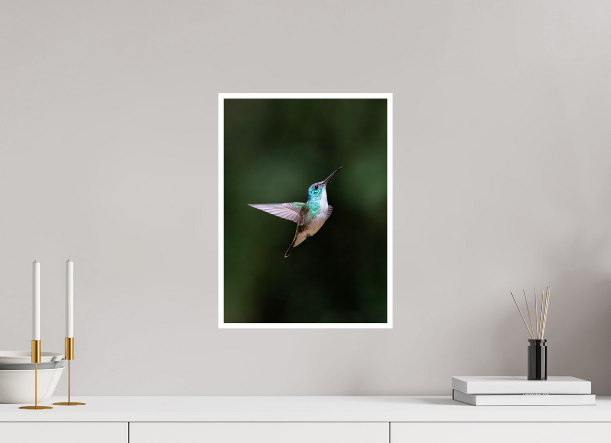 12 x 16.5″, Frameless Hahnemuhle FineArt Baryta .4 Border Andean Emerald