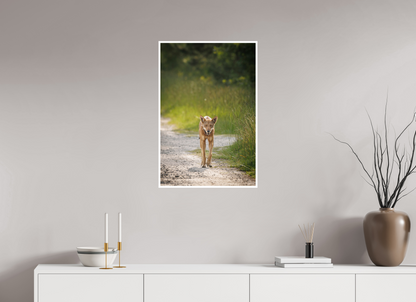 20 x 30″, Frameless Hahnemuhle FineArt Baryta .4 Border Red Wolf