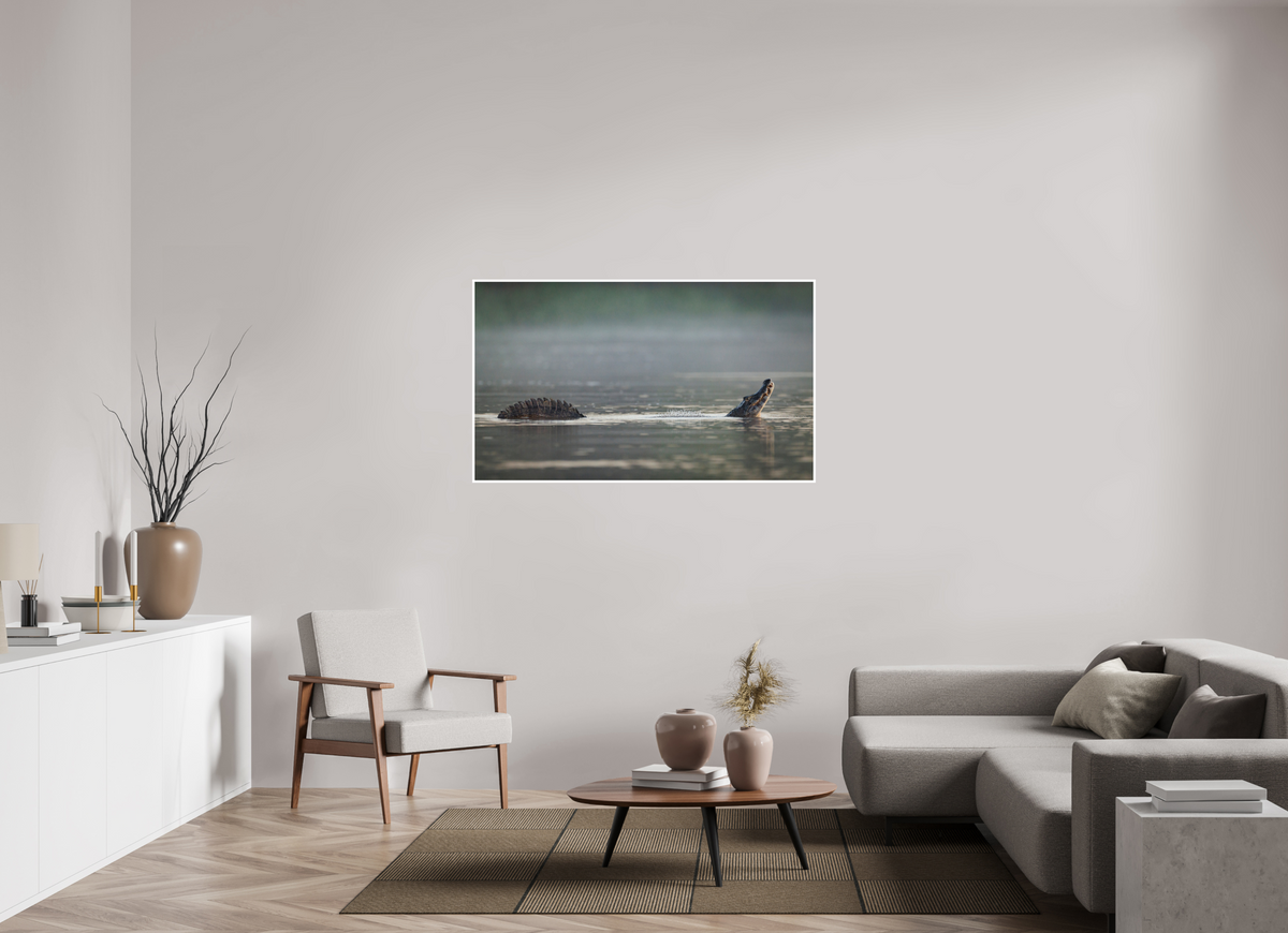 54.5 x 32″, Frameless Hahnemuhle FineArt Baryta .4 Border Mating Call