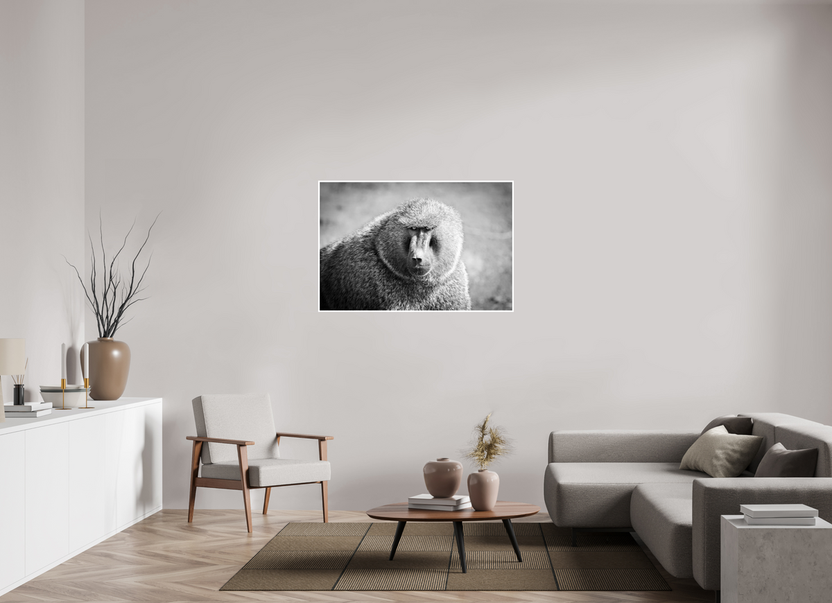 48 x 32″, Frameless Hahnemuhle FineArt Baryta .4 Border Baboon B&W Portrait
