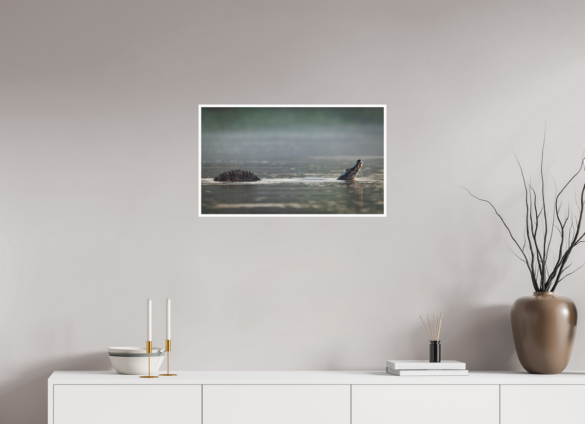 27.3 x 16″, Frameless Hahnemuhle FineArt Baryta .4 Border Mating Call