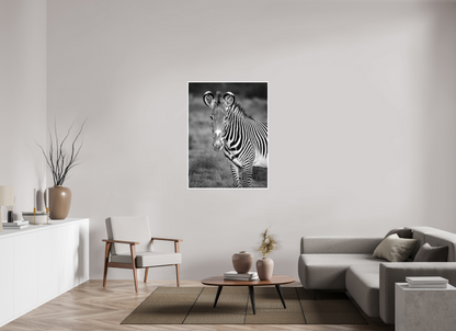 36 x 48″, Frameless Hahnemuhle FineArt Baryta .4 Border Grevy's Zebra Portrait Print