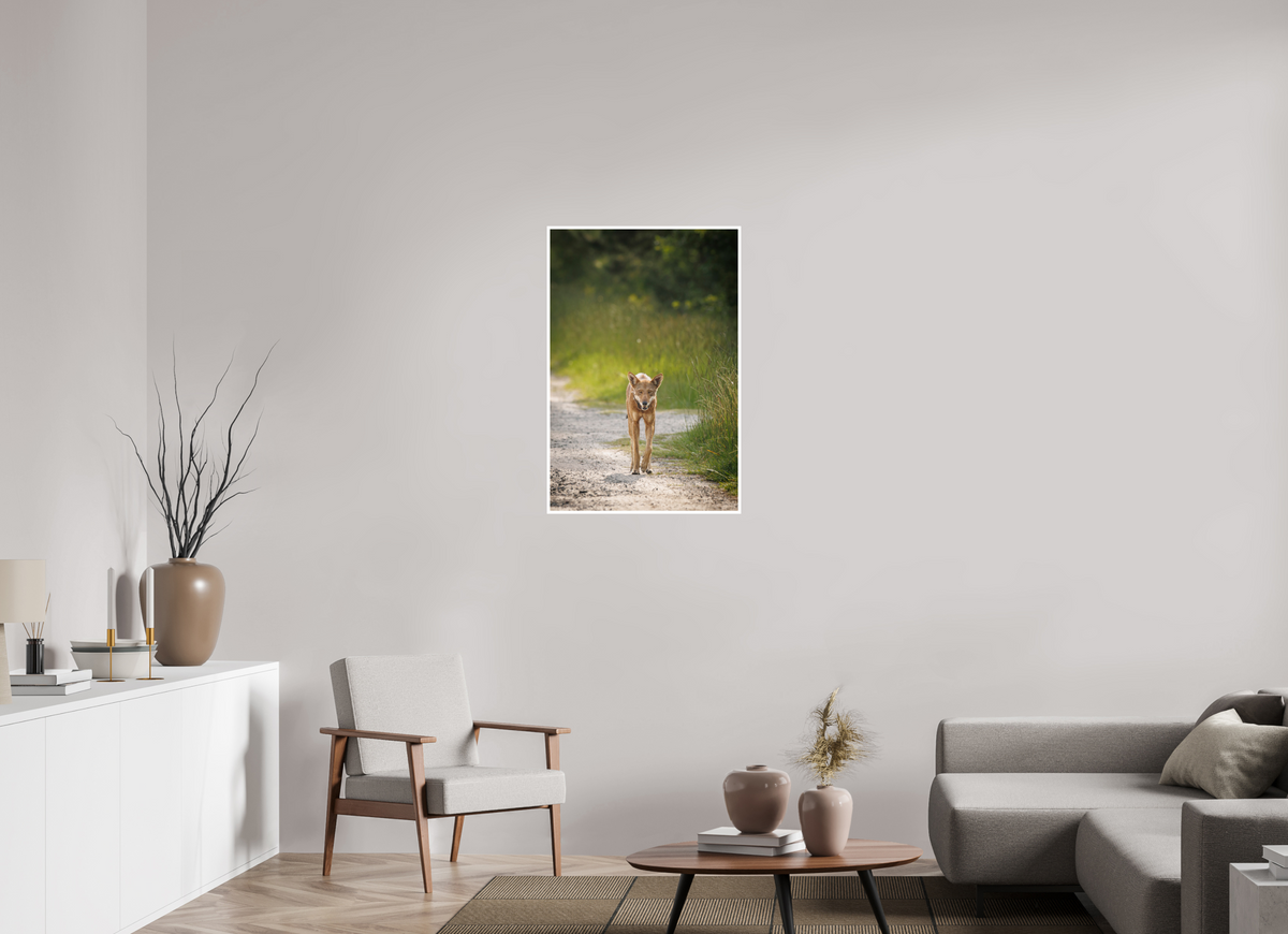 24 x 36″, Frameless Hahnemuhle FineArt Baryta .4 Border Red Wolf
