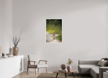 24 x 36″, Frameless Hahnemuhle FineArt Baryta .4 Border Red Wolf