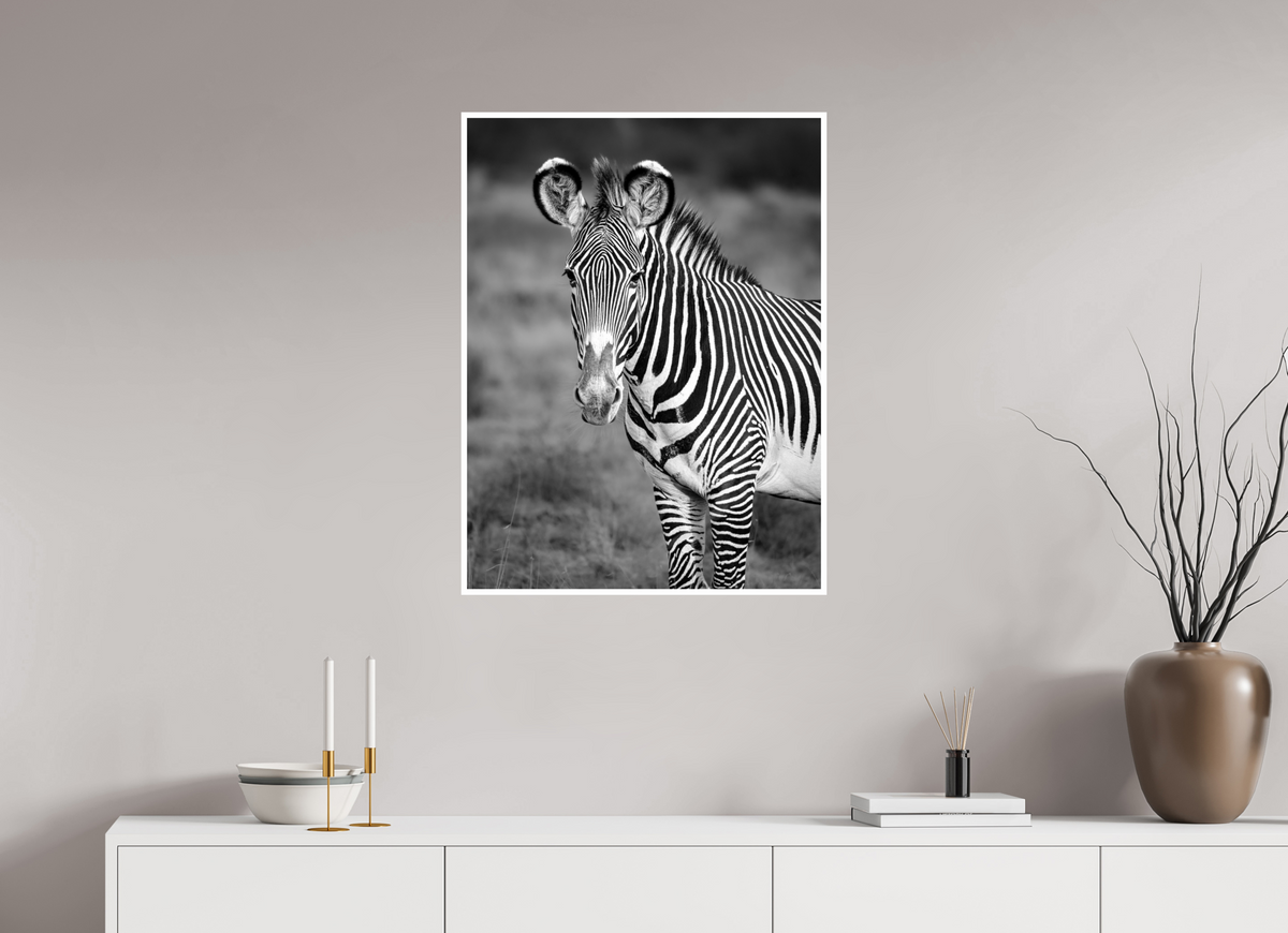 24 x 32″, Frameless Hahnemuhle FineArt Baryta .4 Border Grevy's Zebra Portrait Print