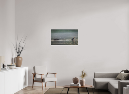 34.1 x 20″, Frameless Hahnemuhle FineArt Baryta .4 Border Mating Call