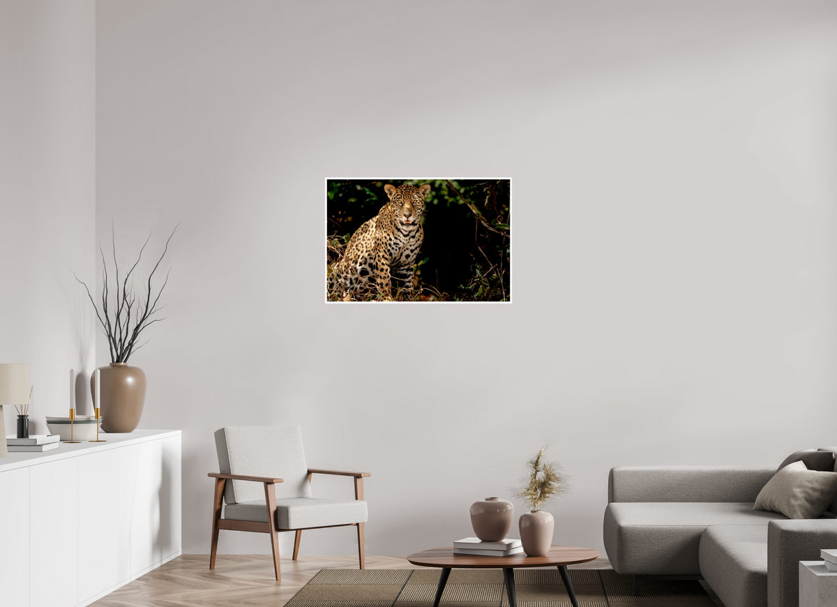 36 x 24″, Frameless Hahnemuhle FineArt Baryta .4 Border Ghost of the Pantanal