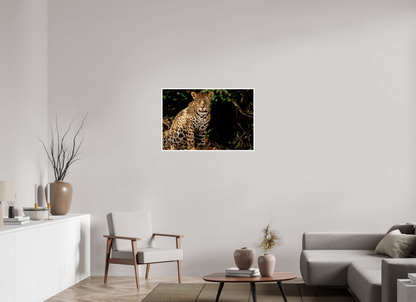 36 x 24″, Frameless Hahnemuhle FineArt Baryta .4 Border Ghost of the Pantanal