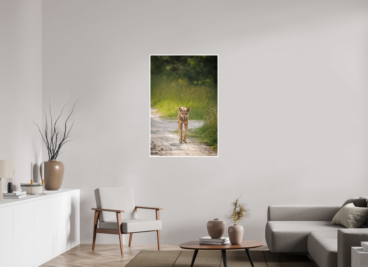30 x 45″, Frameless Hahnemuhle FineArt Baryta .4 Border Red Wolf