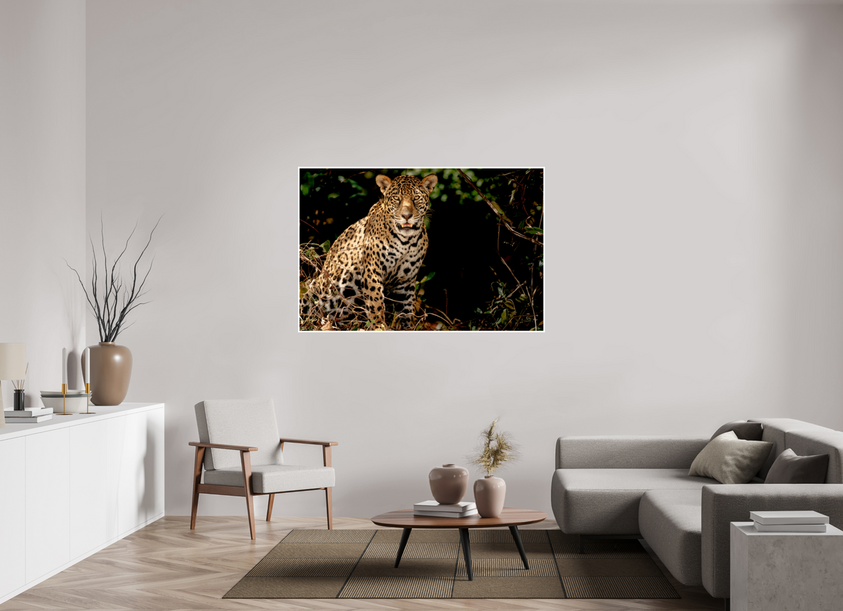 60 x 40″, Frameless Hahnemuhle FineArt Baryta .4 Border Ghost of the Pantanal