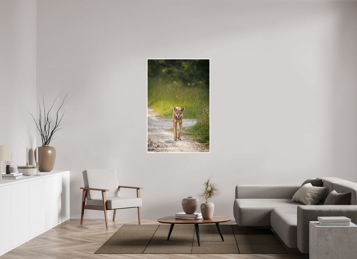 36 x 54″, Frameless Hahnemuhle FineArt Baryta .4 Border Red Wolf