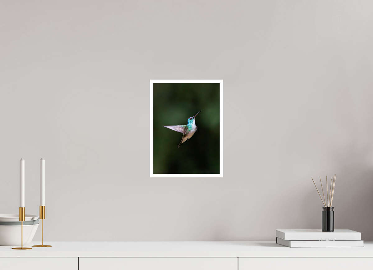 8 x 11″, Frameless Hahnemuhle FineArt Baryta .4 Border Andean Emerald