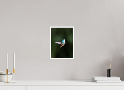 8 x 11″, Frameless Hahnemuhle FineArt Baryta .4 Border Andean Emerald