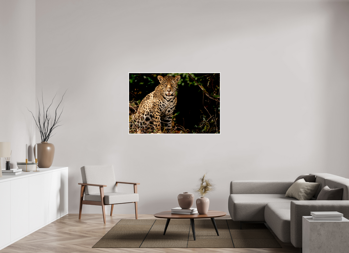 54 x 36″, Frameless Hahnemuhle FineArt Baryta .4 Border Ghost of the Pantanal