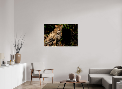 45 x 30″, Frameless Hahnemuhle FineArt Baryta .4 Border Ghost of the Pantanal
