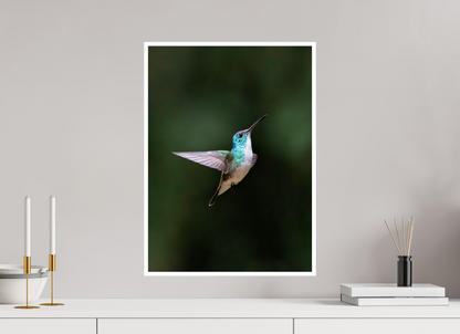 16 x 22″, Frameless Hahnemuhle FineArt Baryta .4 Border Andean Emerald