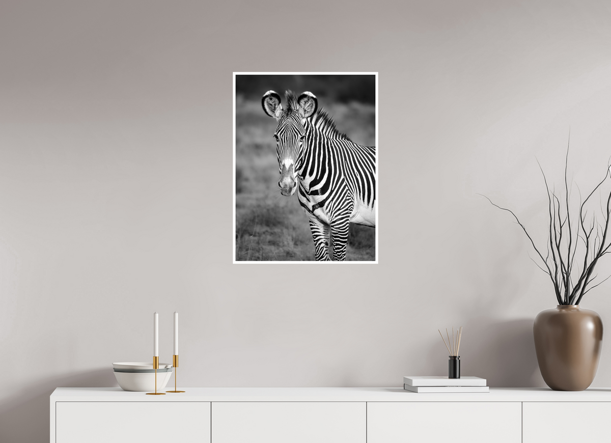 20 x 26.7″, Frameless Hahnemuhle FineArt Baryta .4 Border Grevy's Zebra Portrait Print