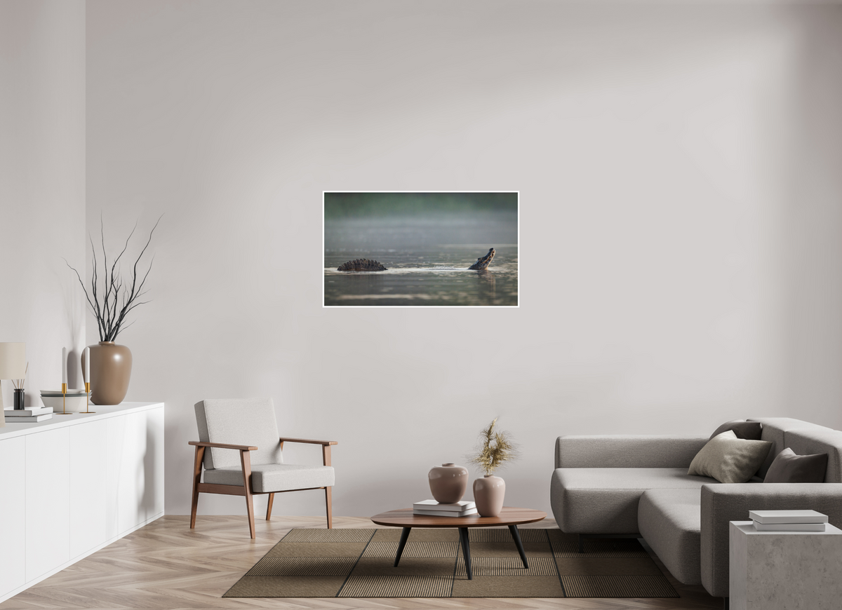 47.7 x 28″, Frameless Hahnemuhle FineArt Baryta .4 Border Mating Call