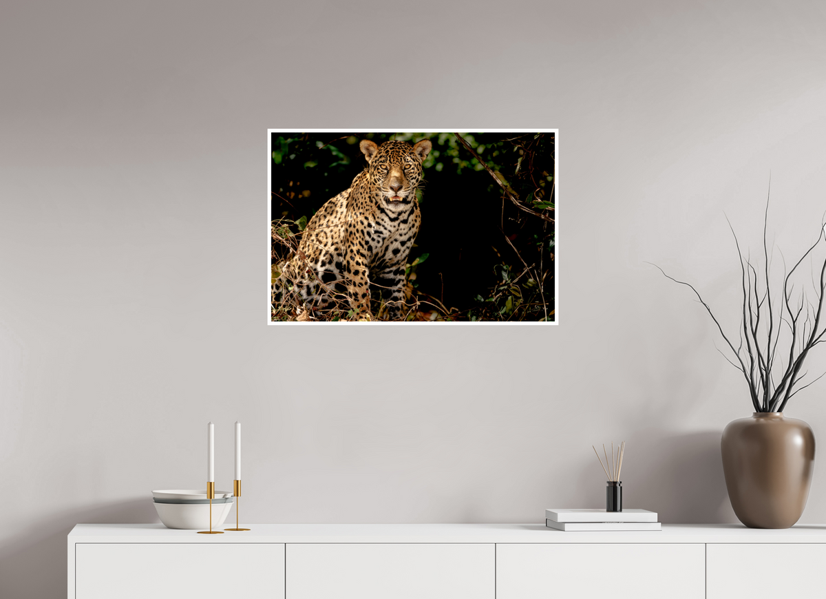 30 x 20″, Frameless Hahnemuhle FineArt Baryta .4 Border Ghost of the Pantanal