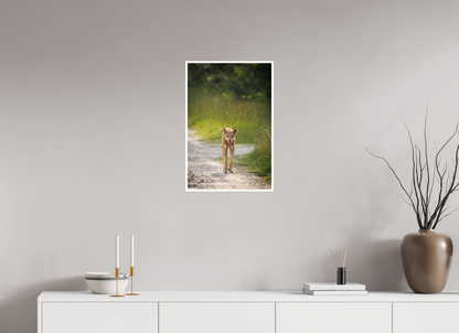 16 x 24″, Frameless Hahnemuhle FineArt Baryta .4 Border Red Wolf