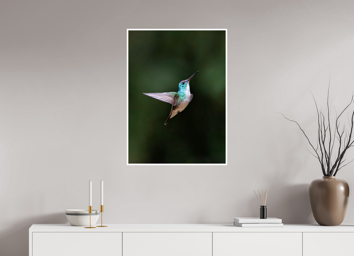 24 x 33″, Frameless Hahnemuhle FineArt Baryta .4 Border Andean Emerald