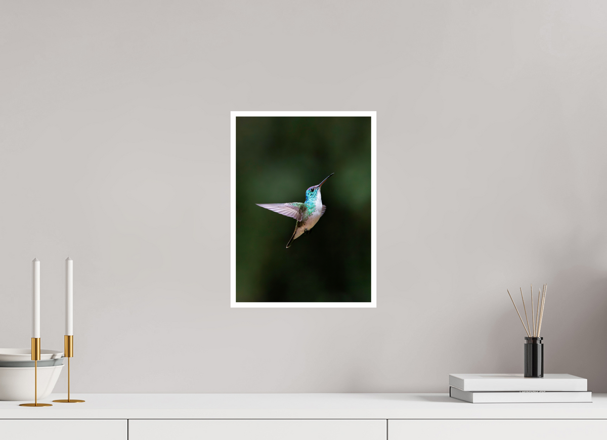 10 x 13.7″, Frameless Hahnemuhle FineArt Baryta .4 Border Andean Emerald
