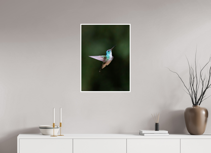 20 x 27.5″, Frameless Hahnemuhle FineArt Baryta .4 Border Andean Emerald