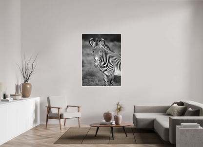 40 x 53.3″, Frameless Hahnemuhle FineArt Baryta .4 Border Grevy's Zebra Portrait Print