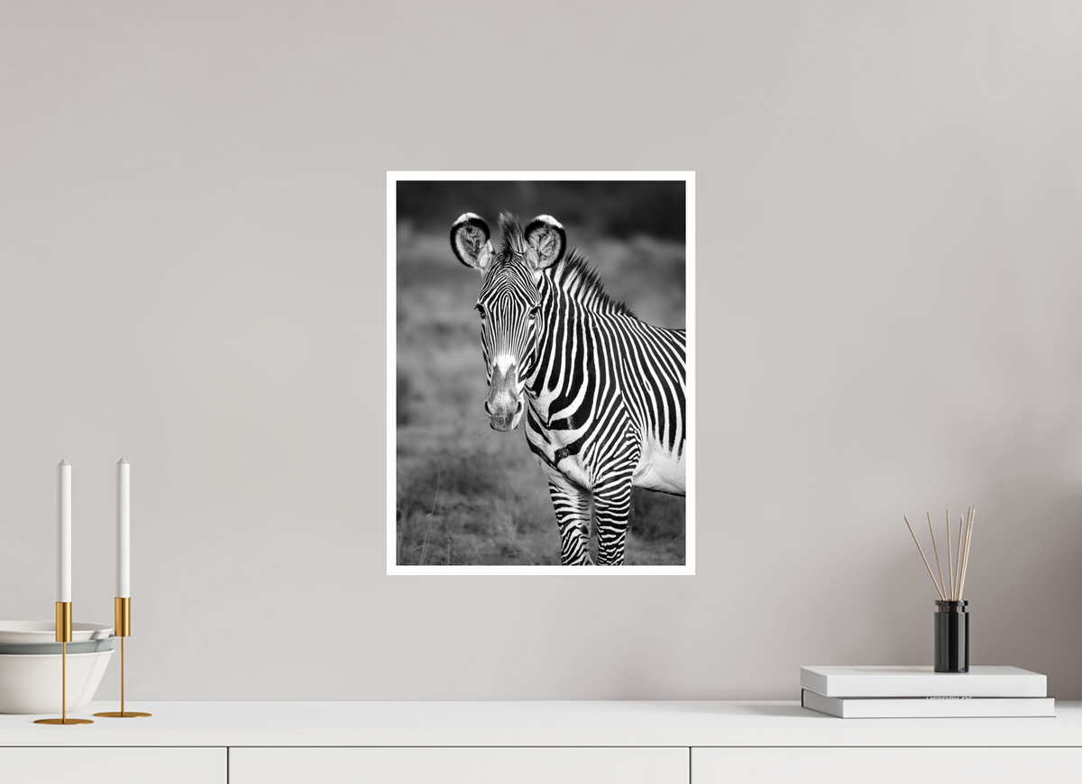 12 x 16″, Frameless Hahnemuhle FineArt Baryta .4 Border Grevy's Zebra Portrait Print